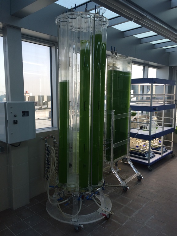 Qeshm Microalgae Biorefinery (QMAB) co.